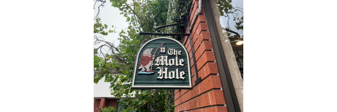 Mole Hole